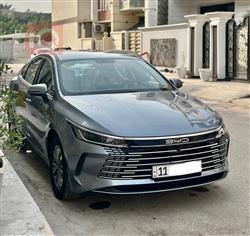 بی وای دی دیسترۆیەر 05